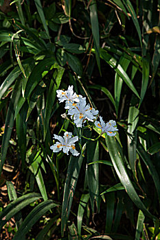 空調(diào)加次氨多少錢？揭秘空調(diào)加次氨的真實費(fèi)用與省錢妙招！