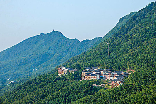 青島帶孩子的保姆多少錢？為你解密市場價(jià)格與選擇技巧