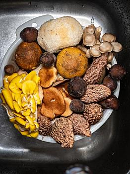 廣州做保姆價格是多少？揭秘保姆服務(wù)的真實費用