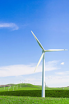 中國電影一簽賺多少錢？揭秘電影圈收入的幕后真相