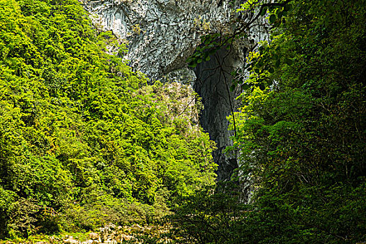青島住家保姆工資多少錢？揭秘青島住家保姆薪資與職業發展前景