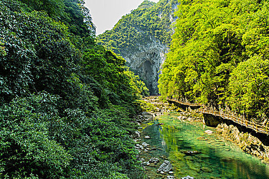 在安慶請(qǐng)個(gè)月嫂多少錢？揭秘安慶月嫂市場(chǎng)價(jià)格及選擇技巧