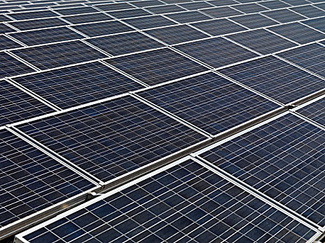 楊戩電影票房多少回本：解密票房背后的秘密與未來趨勢