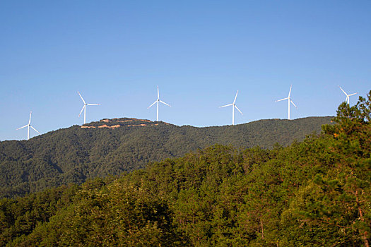 湯陰家政服務電話多少？讓生活更簡單，選擇湯陰家政！