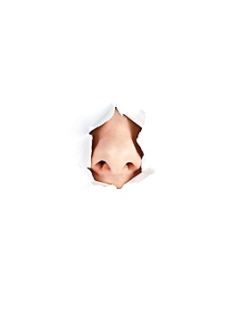 育兒嫂一個(gè)月多少錢？揭開育兒嫂價(jià)格背后的真相