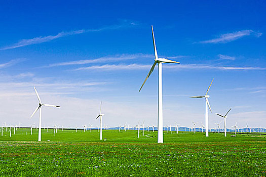 中家家政公司電話多少？為您提供專業家政服務，解決您的后顧之憂