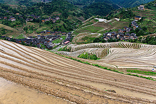 廣州做家政多少錢一個月？家政服務市場全面解析！