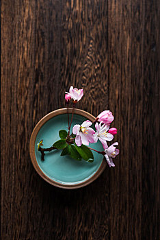 廣西月嫂多少錢一個(gè)月？月嫂服務(wù)價(jià)格揭秘，帶你了解全面市場(chǎng)行情！