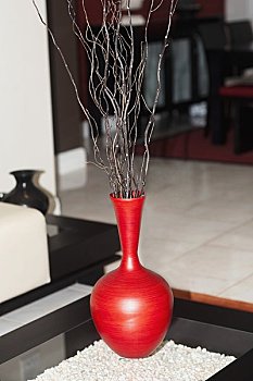 一只異瞳緬因貓多少錢？揭秘異瞳緬因貓的價(jià)格及養(yǎng)護(hù)秘訣