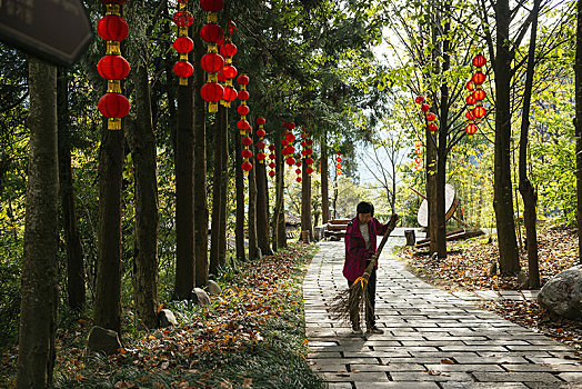 紅玲家政公司電話多少錢？專業家政服務，讓您的生活更輕松！