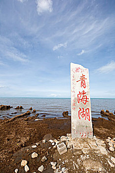 **《你好電影票房多少：揭開電影票房背后的秘密》