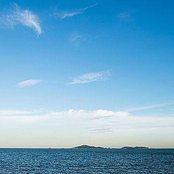 家政公司一年能掙多少錢？揭秘行業盈利潛力與發展前景