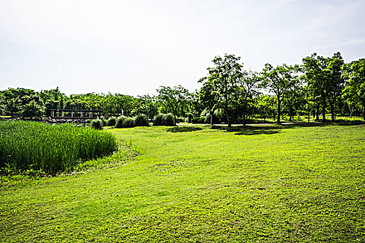 北京臨時工工資一小時多少？揭秘2025年臨時工薪資水平