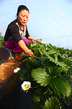 上海月嫂月收入多少錢？揭秘行業內的真實收入水平