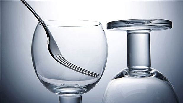 配緬因多少錢？了解緬因貓價(jià)格及背后的價(jià)值