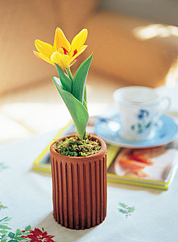 去英國(guó)當(dāng)保姆，每月收入讓你驚喜