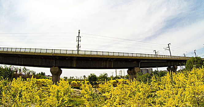北京保姆價(jià)格大概多少？讓我們?yōu)槟议_(kāi)這個(gè)謎團(tuán)！