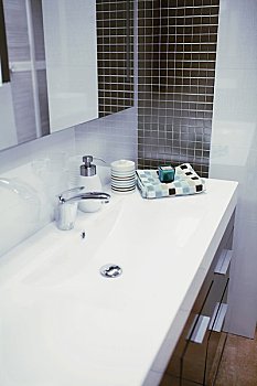 緬因貓4個月能長多少斤？揭秘這一階段的成長秘密