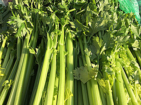 成都煮飯阿姨多少錢(qián)？從家庭廚房到優(yōu)質(zhì)服務(wù)的完美選擇
