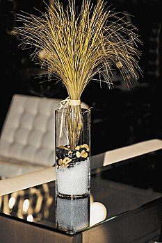 《晴雅集》票房多少能回本？分析其成功背后的因素