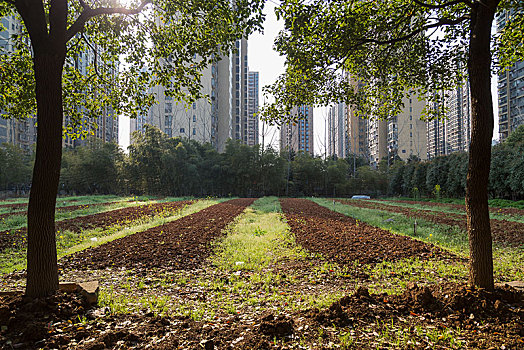 昆山市家政每小時多少錢？帶你揭秘昆山家政服務的真實價格
