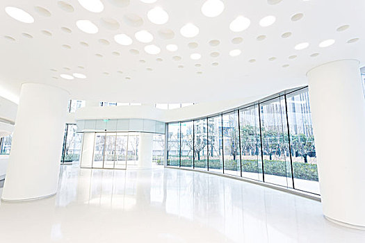 一只異瞳緬因貓多少錢？揭秘異瞳緬因貓的價格及養護秘訣