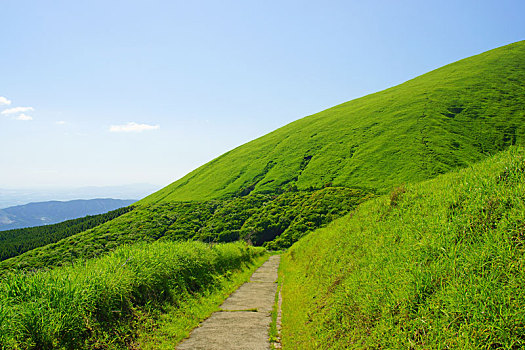 抖音點(diǎn)贊任務(wù)接單多少錢？揭秘背后的賺錢機(jī)會(huì)