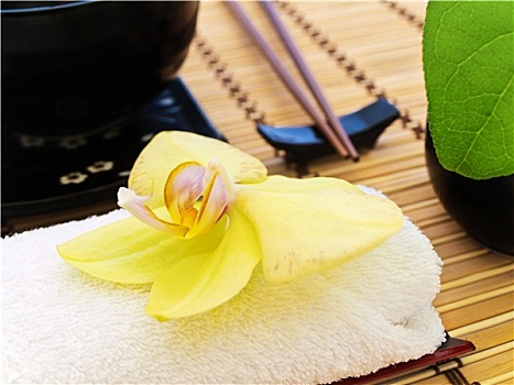 廣州月嫂工資是多少？揭開月嫂行業的薪資奧秘