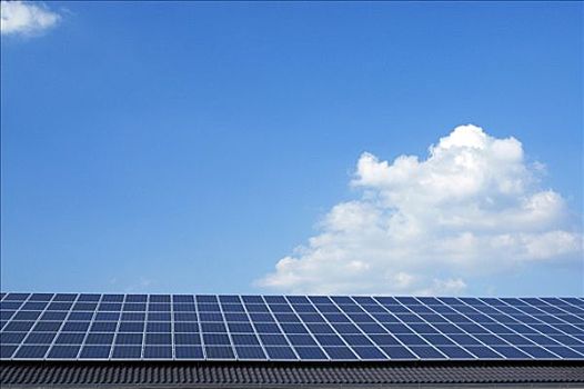 紅玲家政公司電話多少錢？專業(yè)家政服務，讓您的生活更輕松！