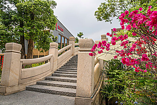 深圳住家保姆多少錢？選擇住家保姆的性價(jià)比與實(shí)用性分析