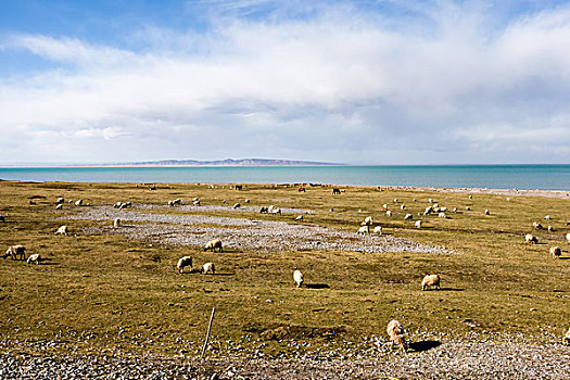 上海月嫂一年能掙多少錢？了解上海月嫂的收入潛力和行業(yè)前景