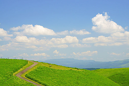 洛陽鐘點(diǎn)工市場新動態(tài)：了解洛陽鐘點(diǎn)工多少一小時(shí)，讓生活更輕松
