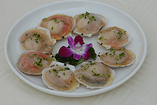 醫(yī)院護(hù)工長(zhǎng)期多少錢一天？了解護(hù)理服務(wù)背后的真相