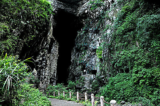 **《唐人街探案3》票房破紀(jì)錄，多少億才能回本？