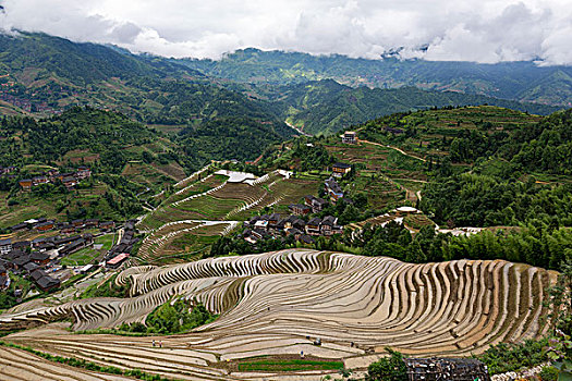 廣州住家保姆多少錢一個(gè)？全面解答您的疑問！