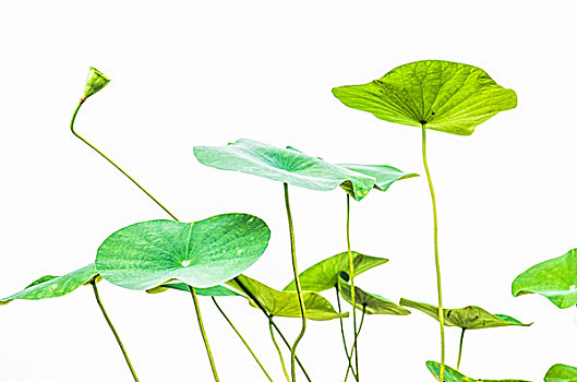 福州當保姆一月多少錢？一站式解答你的疑問！