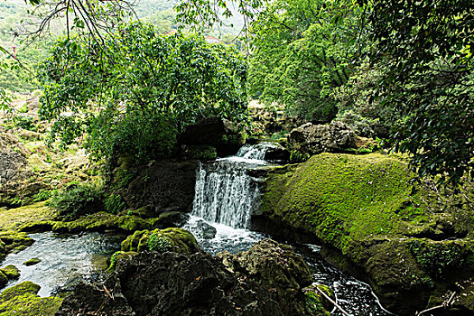 南京找?guī)『⒈Ｄ范嗌馘X？了解南京保姆市場(chǎng)，輕松找到心儀的保姆！