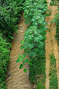 鐘點工家政1小時多少錢？了解價格背后的價值