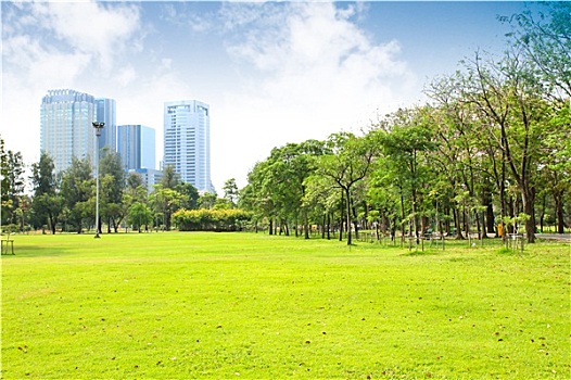 深圳的保姆工資多少？揭開背后的收入與職業前景