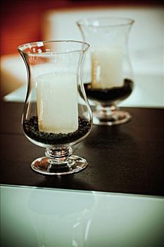 三個(gè)月緬因貓吃多少？給你詳細(xì)解答貓咪的飲食需求