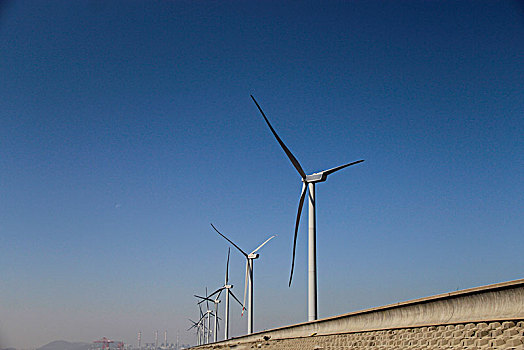 紅玲家政公司電話多少錢？專業家政服務，讓您的生活更輕松！