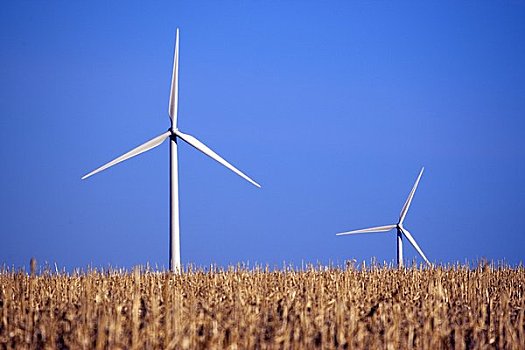 贛州保姆多少錢一個月？選擇保姆服務的價格解析與實用建議