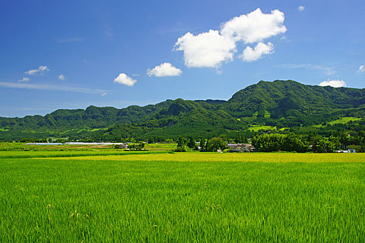 鄭州不住家保姆多少錢？讓您輕松了解價格與服務