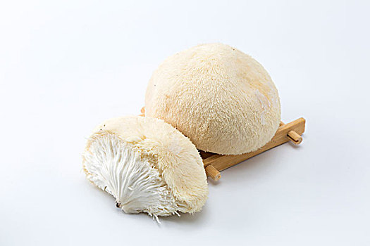 月薪多少養緬因？探索如何養好這只優雅的“貓王”