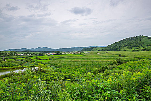 濟(jì)南育兒嫂一天多少錢(qián)？全方位解讀育兒嫂價(jià)格和服務(wù)