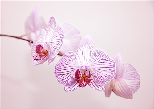 桂林家政服務(wù)價(jià)格解析：你應(yīng)該知道的月費(fèi)用
