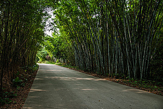 湖州的鐘點(diǎn)工價(jià)格：如何選擇合適的服務(wù)，輕松享受高質(zhì)量生活