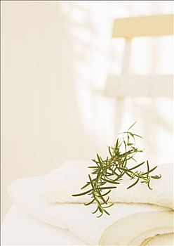 月嫂的工作時間是多少天？全面了解月嫂服務的工作周期