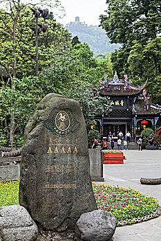 如何選擇育兒師月嫂證，并了解其價格？