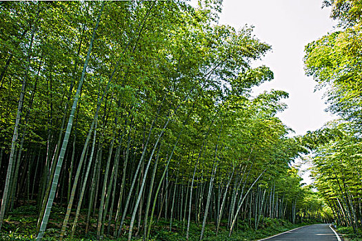 開家政公司要多少錢？創(chuàng)業(yè)者必看的詳細(xì)預(yù)算分析